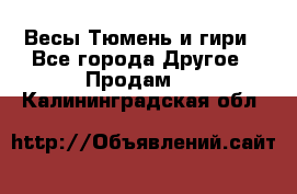 Весы Тюмень и гири - Все города Другое » Продам   . Калининградская обл.